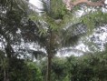 /album/fotogaleria/a2-jpg1/